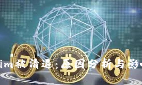 Tokenim被清退：原因分析与影响解读