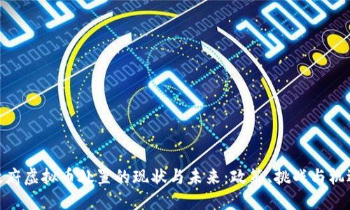 政府虚拟币处置的现状与未来:政策、挑战与机遇