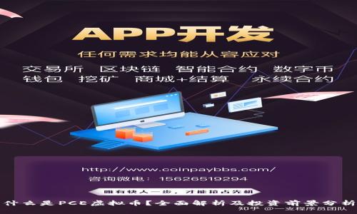 什么是PCE虚拟币？全面解析及投资前景分析