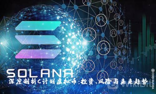 深度剖析C计划虚拟币：投资、风险与未来趋势