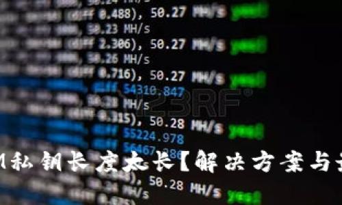 TokenIM私钥长度太长?解决方案与最佳实践