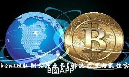TokenIM私钥长度太长?解决方案与最佳实践