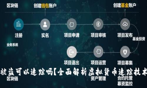 虚拟币被盗可以追踪吗？全面解析虚拟货币追踪技术与手段