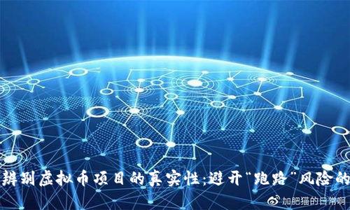如何辨别虚拟币项目的真实性：避开“跑路”风险的指南