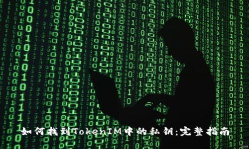 如何找到TokenIM中的私钥：完整指南