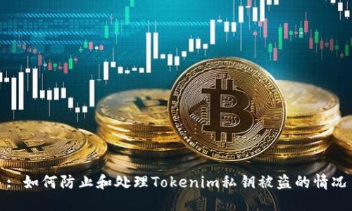 : 如何防止和处理Tokenim私钥被盗的情况