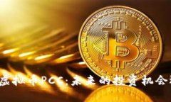 深入了解虚拟币PCC：未来的投资机会还