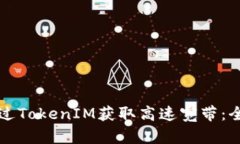 如何通过TokenIM获取高速宽带：全面指