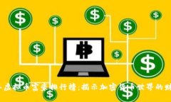 2023年虚拟币富豪排行榜：揭示加密货