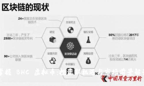 掌握 BHC 虚拟币:投资新机遇与市场前景解读