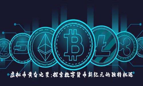 虚拟币黄昏之星:探索数字货币新纪元的独特机遇