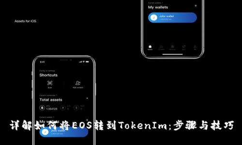详解如何将EOS转到TokenIm:步骤与技巧