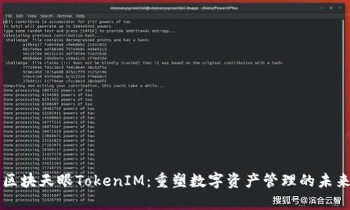 区块天眼TokenIM：重塑数字资产管理的未来