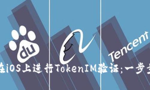 如何在iOS上进行TokenIM验证:一步步详解