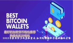 2023年最具潜力的虚拟货币：如何选择