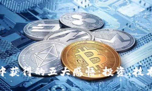 在比特币挖矿中获得的五大感悟:投资、技术与未来的交织