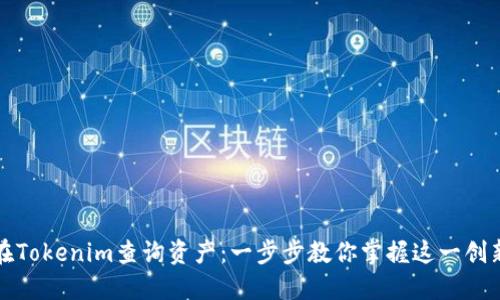 如何在Tokenim查询资产:一步步教你掌握这一创新工具