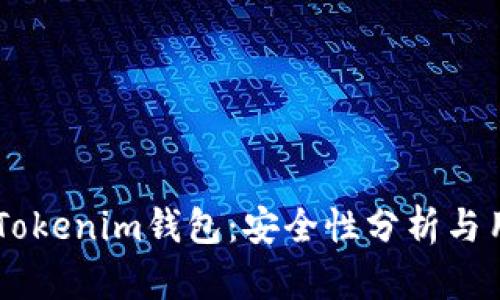 币提到Tokenim钱包：安全性分析与用户指南