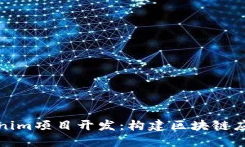 深入探讨Tokenim项目开发：构建区块链应用的未来之路