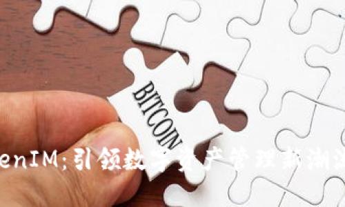 大丰收 TokenIM：引领数字资产管理新潮流的创新平台