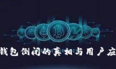 Tokenim钱包倒闭的真相与用户应如何应