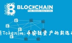 深入解析Tokenim：币安链资产的新选择