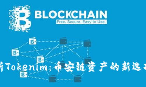 深入解析Tokenim：币安链资产的新选择与优势