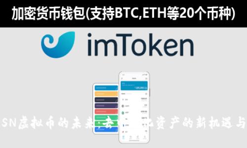 探索SN虚拟币的未来:去中心化资产的新机遇与挑战