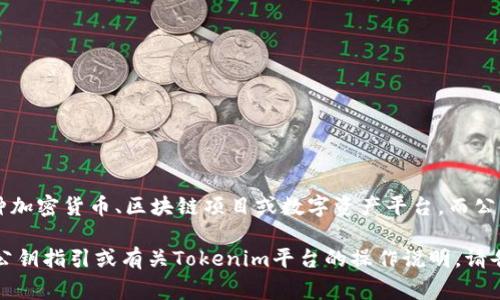 看起来你是在询问有关Tokenim或公钥的信息。Tokenim 可能是某种加密货币、区块链项目或数字资产平台，而公钥通常是指在加密技术中用来加密信息或验证身份的一种加密密钥。

请提供更多详细的信息，以便我能更好地帮助你。如果你需要具体的公钥指引或有关Tokenim平台的操作说明，请告知我。